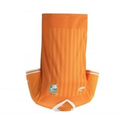 Maillot Côte d'Ivoire